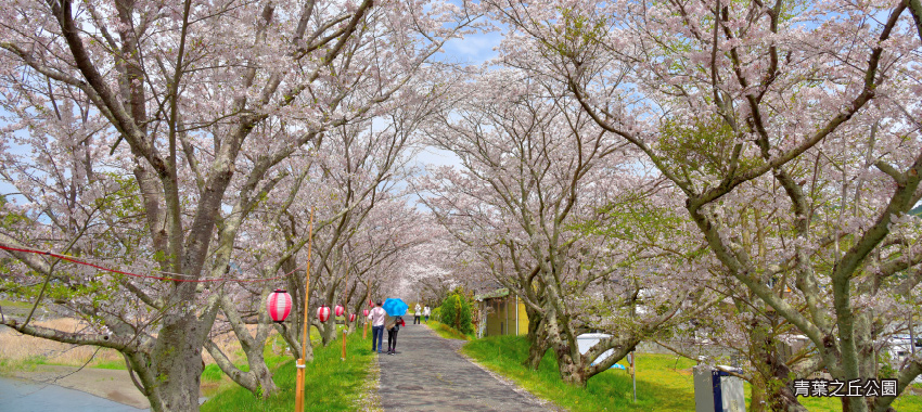 青葉之丘公園